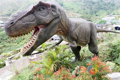 DINOSAURS ISLAND BAGUIO: The Lost World Jurassic Park in Benguet!? #BaguioEcoPark • Our Awesome ...