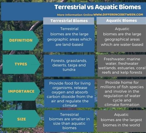 Difference Between Terrestrial and Aquatic Biomes | Compare the ...