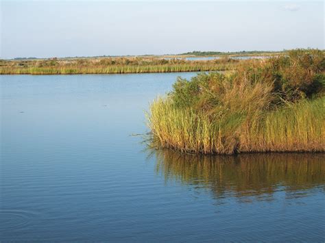 Study says U.S. can’t keep up with loss of wetlands - The Washington Post