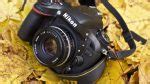 Nikon 50mm Manual Focus Lens Shootout - Casual Photophile