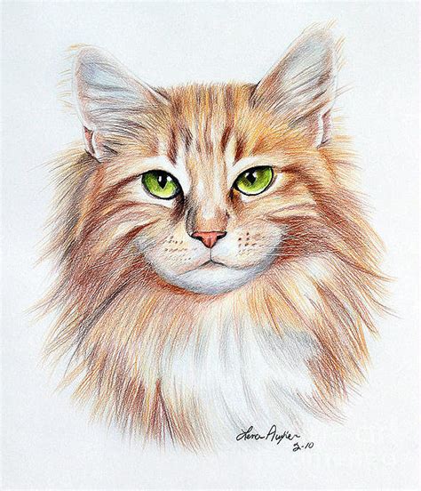 Calico Drawing - Calico Cat by Lena Auxier | Cat art print, Cat art, Prismacolor art