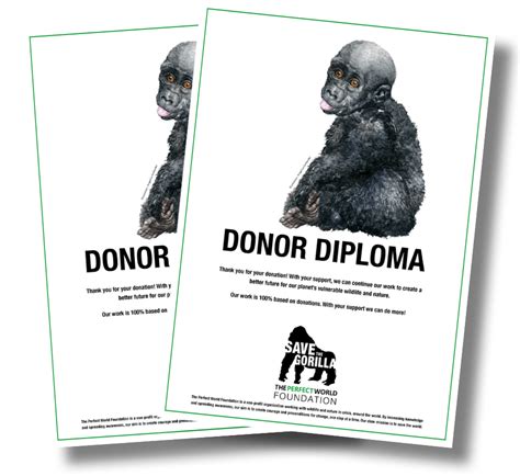 Save the Gorilla – donation – The Perfect World Foundation