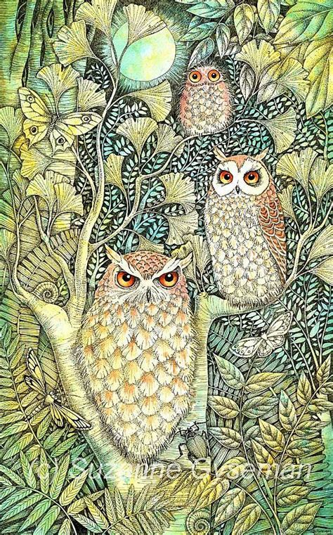 1000+ images about Owl Art on Pinterest | Watercolors, Originals and ...