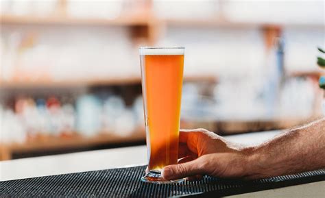 Beer Glasses 101: Everything You Need to Know Before You Buy | DStill