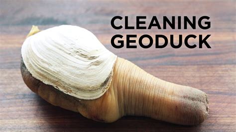 Cleaning Geoduck | Clam recipes, Chef steps, Shellfish recipes