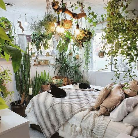 The Plants That Will Actually Thrive in Your Bedroom, According to Plantfluencers | Bedroom ...