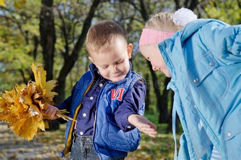 Young Children with Autumn Leaves Stock Image - Image of caucasian, beautiful: 27373575