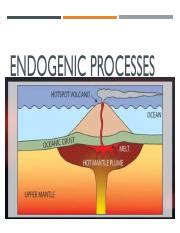 ENDOGENIC PROCESSES.pdf - ENDOGENIC PROCESSES ENDOGENIC PROCESSES are ...