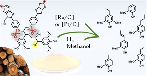 Catalysts | Free Full-Text | Solvent Effect in Catalytic Lignin Hydrogenolysis