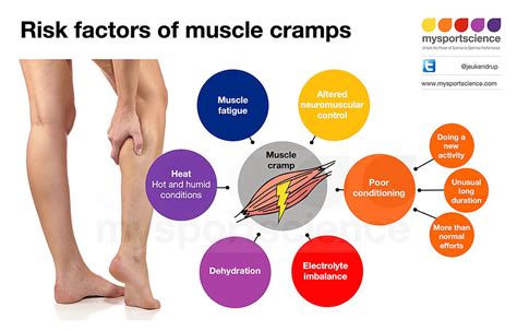 What causes muscle cramps in exercise?