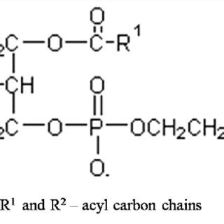 (PDF) Selective HPLC Method Development for Soy Phosphatidylcholine ...