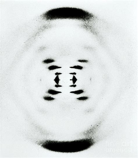 Early Image Of Dna Photograph by Omikron - Pixels