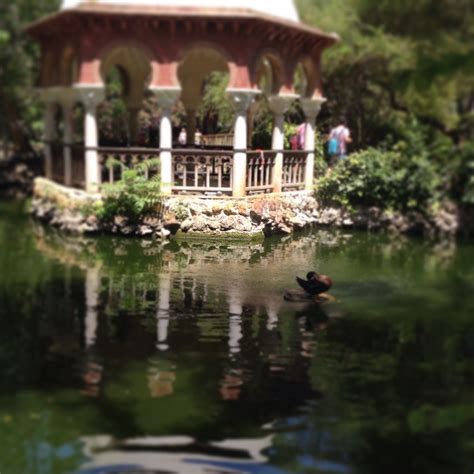 Beautiful gardens in Seville | Beautiful gardens, Trip, Seville