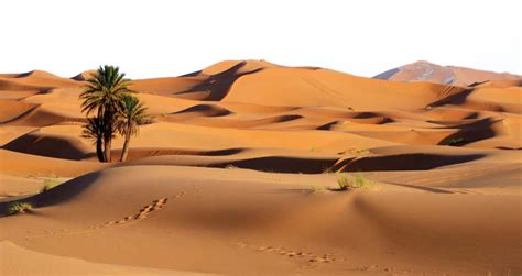 Desert PNG Transparent Images, Pictures, Photos