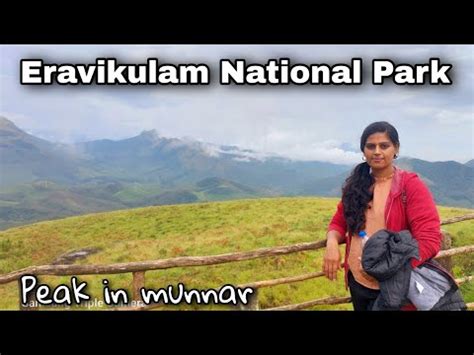 Eravikulam National Park- Munnar KERALA| Trekking in Misty Hills| - YouTube