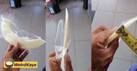 M'sian Woman Stunned By Super Thin Honeydew Slice Which Measured 1.1cm ...