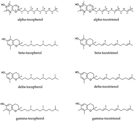 IJMS | Free Full-Text | Tocopherols and Tocotrienols in Common and ...