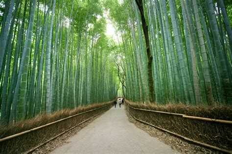 Arashiyama