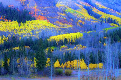 Fall Colors in the Maroon Lake NP Photograph by Quanmei Deng - Fine Art America