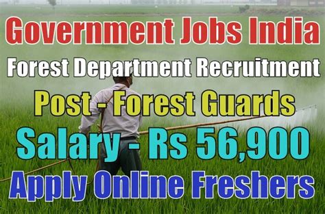 Forest Department Recruitment 2018 for 334 Forest Guards Apply Online | Government Jobs India ...