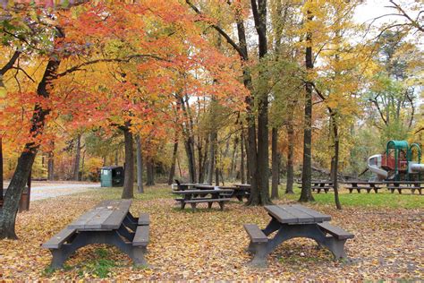 Greenbelt Park, Maryland - Recreation.gov