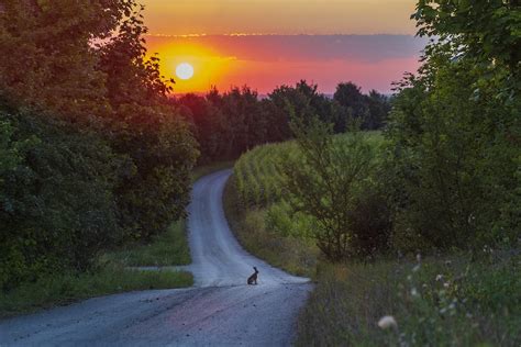 Winding Road Sunset