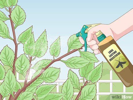 3 Simple Ways to Deal with Cherry Tree Pests - wikiHow