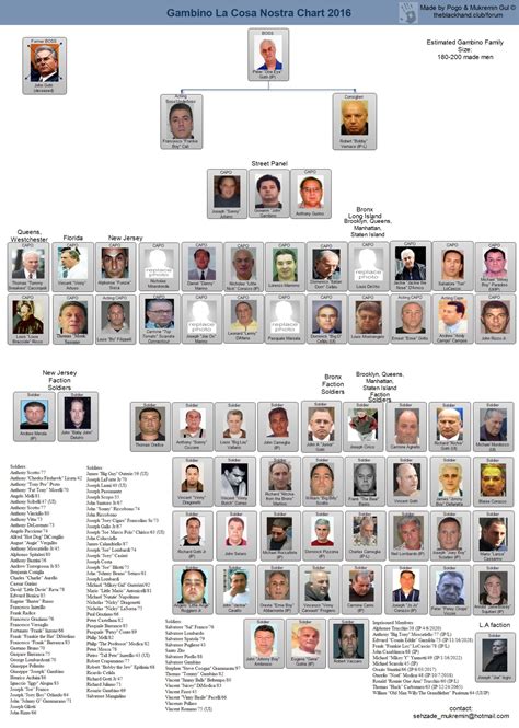 Mafia Family Leadership Charts | About The Mafia | Mafia families ...