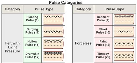 Pulse Diagnosis Acupuncture Poster 18 x 24