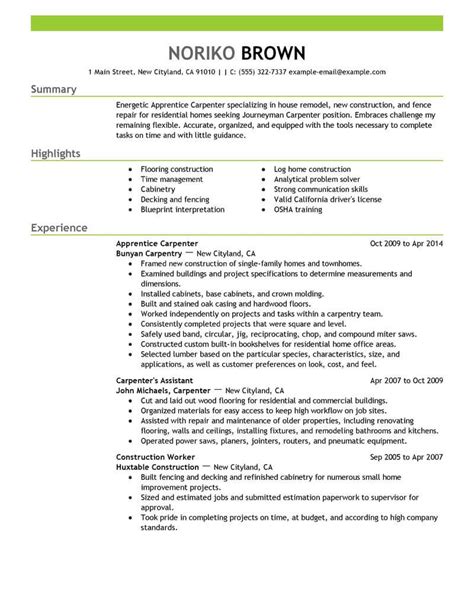 Professional Apprentice Carpenter Resume Examples