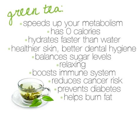 Green Tea Benefits - The Dumbbelle