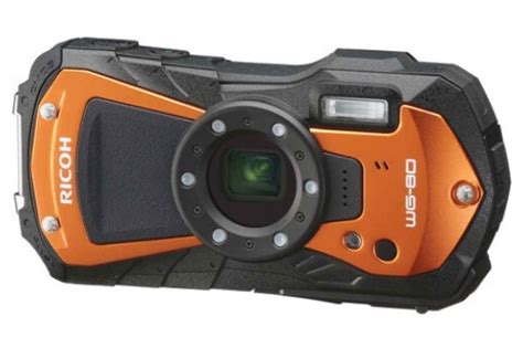 Best Rugged Cameras – Waterproof, Shockproof, Freezeproof — Treeline Review