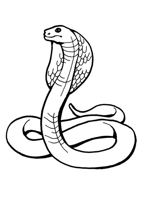 Free Printable Snake Coloring Pages For Kids