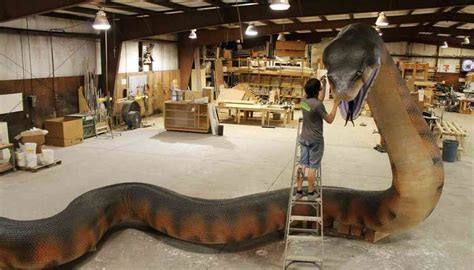 Titanoboa - Google Search | Animales extintos, Animales prehistóricos ...