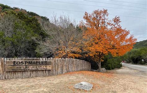 Lost Maples State Natural Area 2022 Fall Foliage Color Report — Texas ...