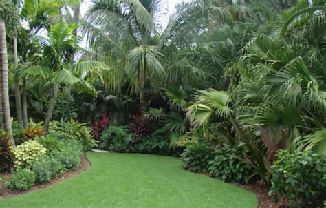 green Florida Landscaping, Privacy Landscaping, Florida Gardening, Easy ...