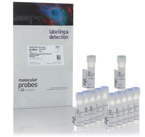 LIVE/DEAD Fixable Aqua Dead Cell Stain Kit, for 405 nm excitation - Thermo Fisher Scientific