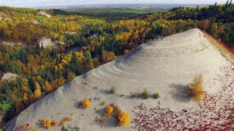 Services still suspended at Riding Mountain National Park | CTV News