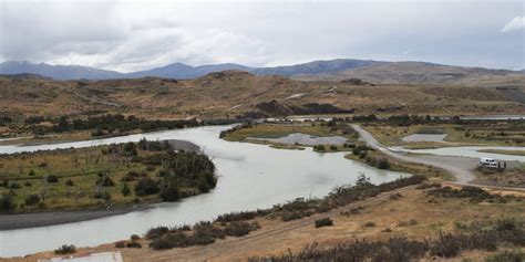 geno's blog: Torres del Paine - Wildlife