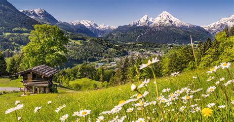 Vacanza in montagna: perché scegliere alpeggi e malghe - Donna Moderna