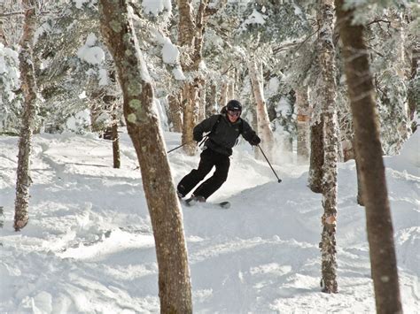 Glade skiing, i definately want to try this | Lake sunapee, Skiing, Winter destinations