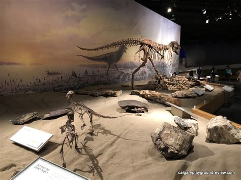 Royal Tyrrell Museum - Dinosaur Museum - Drumheller, AB ...