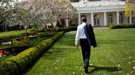 How the White House Rose Garden Became the Most Famous Garden in the ...