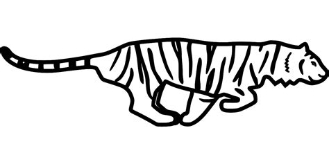 SVG > sleeping wild stripes wildlife - Free SVG Image & Icon. | SVG Silh