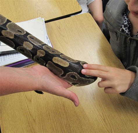 Mrs. Yollis' Classroom Blog: Wildlife Experience, 2013!