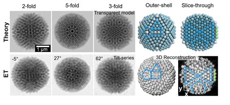 Electron tomography reveals the inner structure of magic colloidal ...