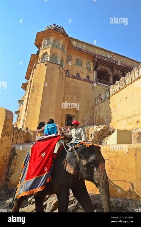 Elephant ride at Amer Fort (Amber Fort) Jaipur,rajasthan,india Stock ...