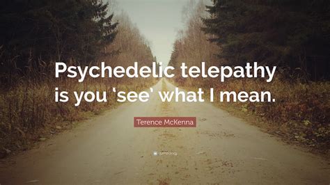 Terence McKenna Quote: “Psychedelic telepathy is you ‘see’ what I mean.”