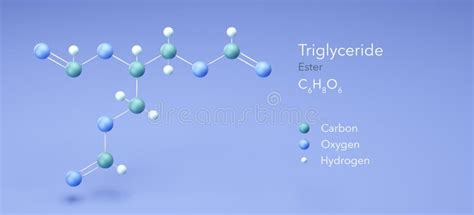 Triglyceride, Molecular Structures, Ester, 3d Model, Structural ...