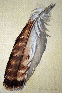 HOLD for KIMBERLEY Feather 48 Red Tailed Hawk Feather - Original Watercolour Painting- Nightly ...